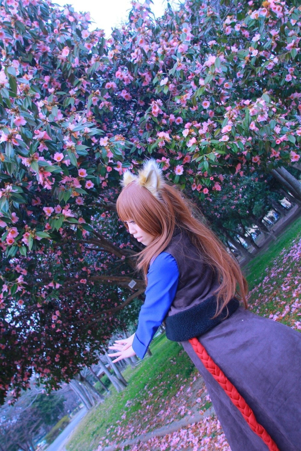 [Cosplay] 2013.04.13 Spice and Wolf Hot Cosplay